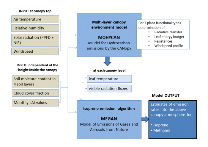 Schematical representation of the MEGAN-MOHYCAN model Schematical representation of the MEGAN-MOHYCAN model